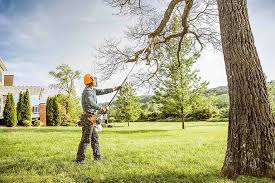 Trusted Orange Blossom, CA Tree Removal and Landscaping Services Experts